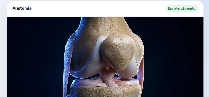 Ilustração da sala do atlas de anatomia 3D aberta durante um atendimento: joelho tridimensional com os ligamentos à mostra